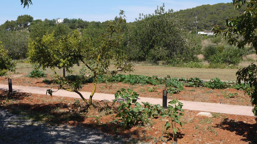 Can Gat Sant Carles de Peralta Zimmer foto